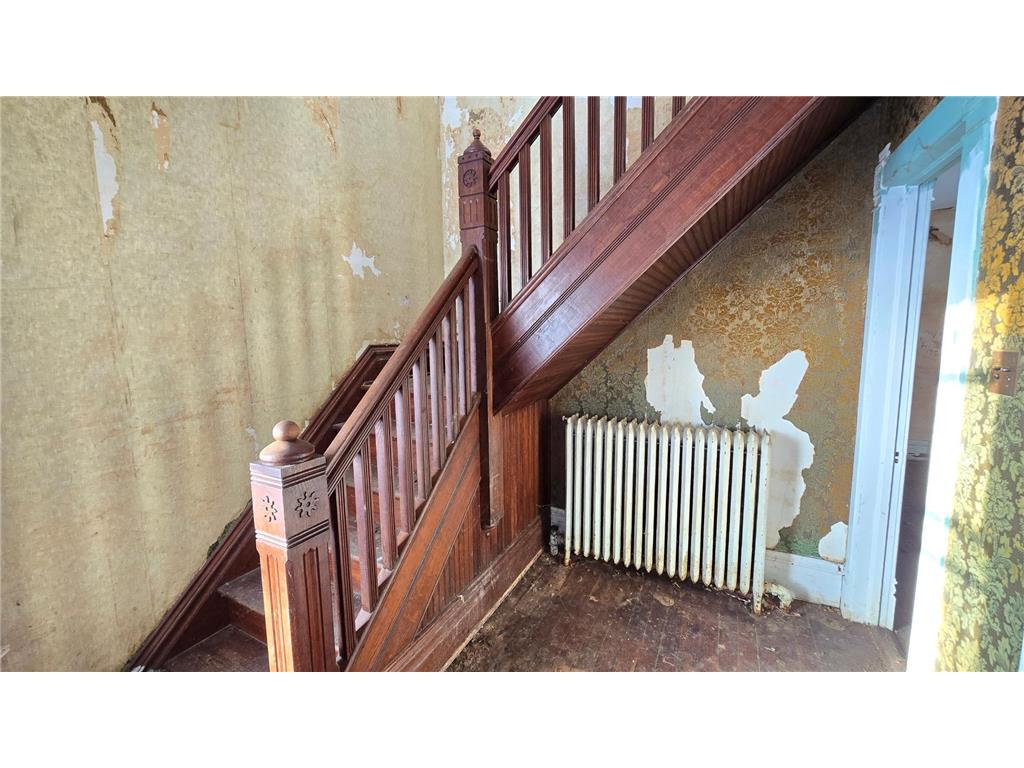 315 W Newburg Avenue Mabel MN 55954 6824368 image5