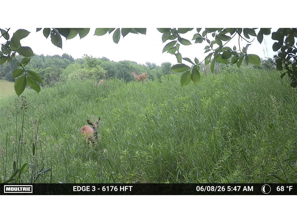 31500 Echo Valley Trail Cannon Falls Twp MN 55009 7048029 image114