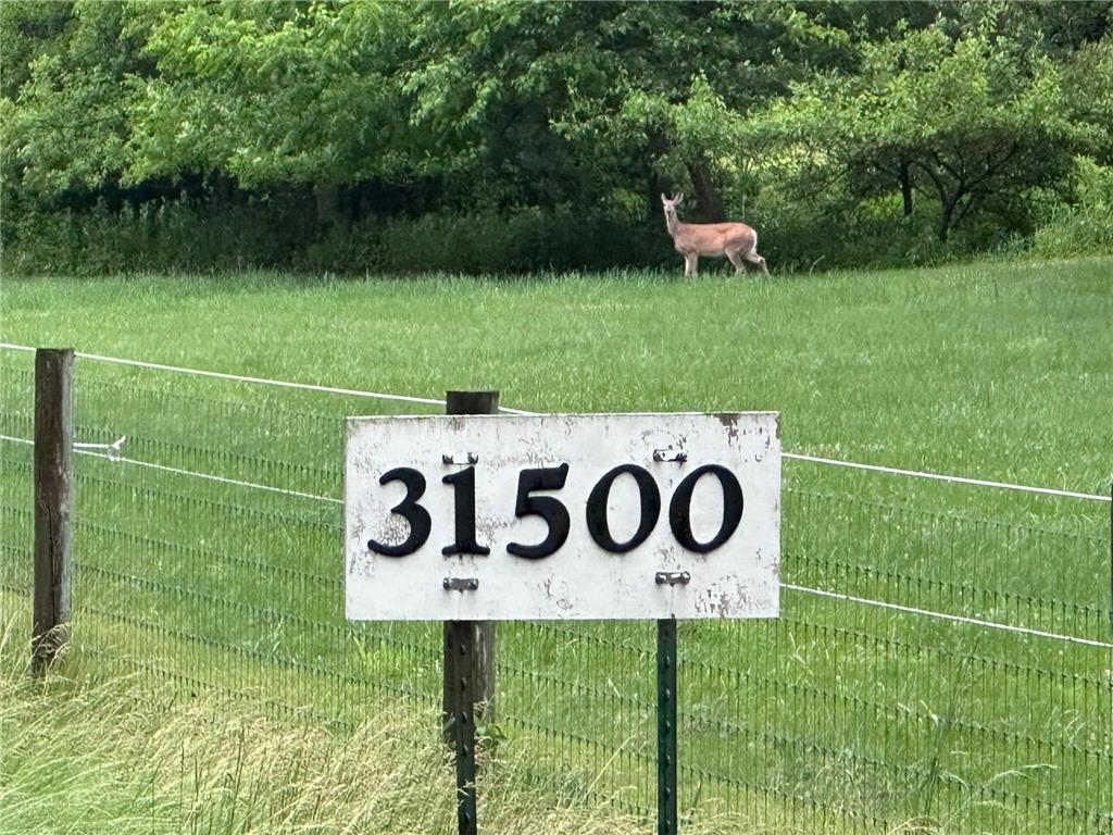 31500 Echo Valley Trail Cannon Falls Twp MN 55009 7048029 image118