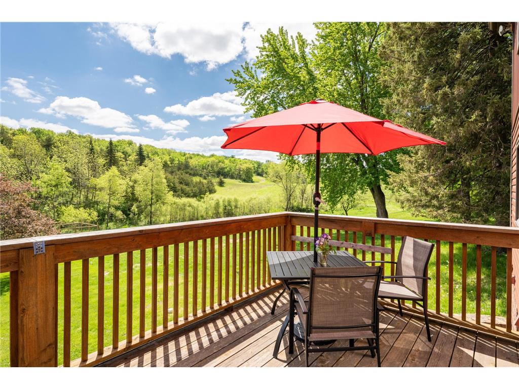31500 Echo Valley Trail Cannon Falls Twp MN 55009 7048029 image15