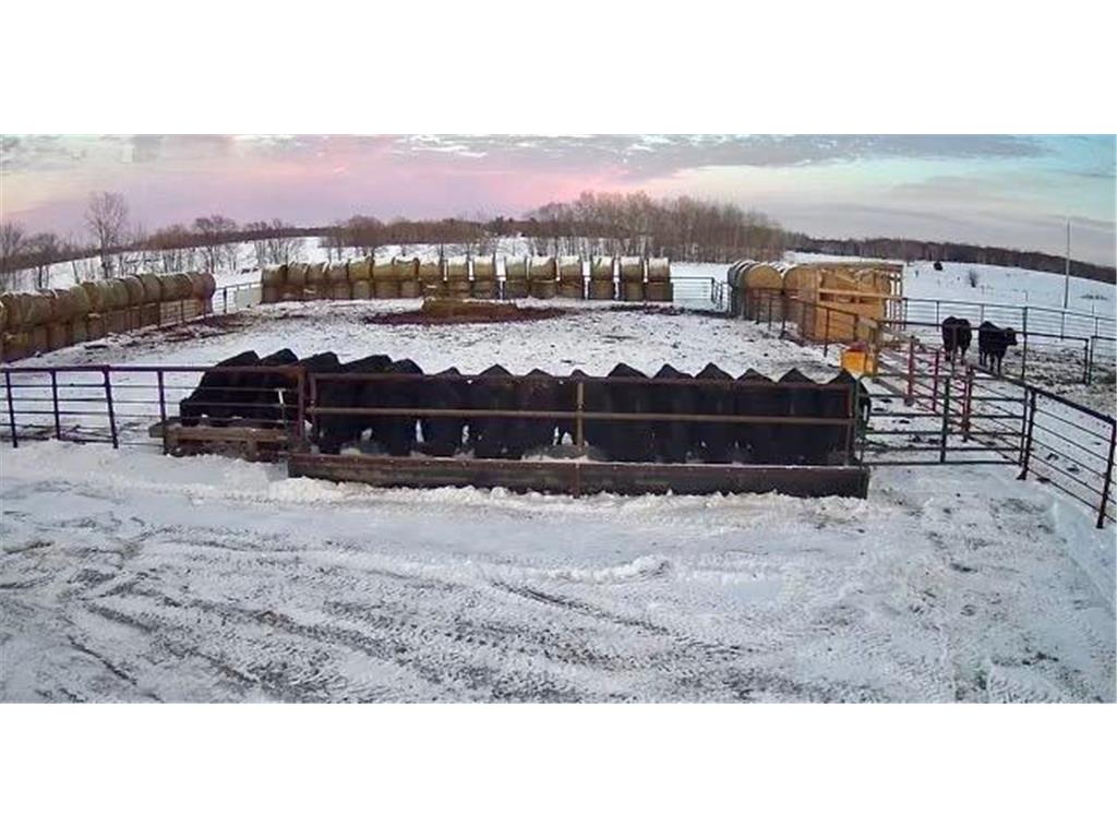 31528 63rd Street Royalton MN 56373 7002470 image53