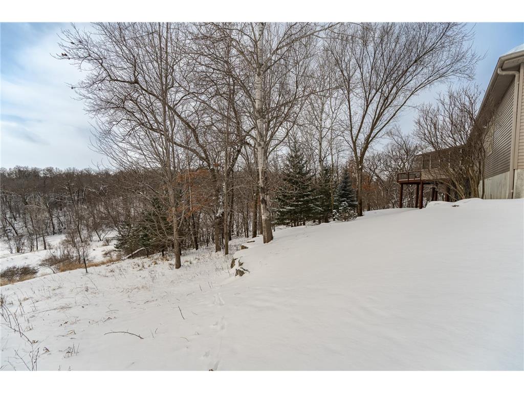 3153 Frankel Lane SW Rochester MN 55902 6819330 image37