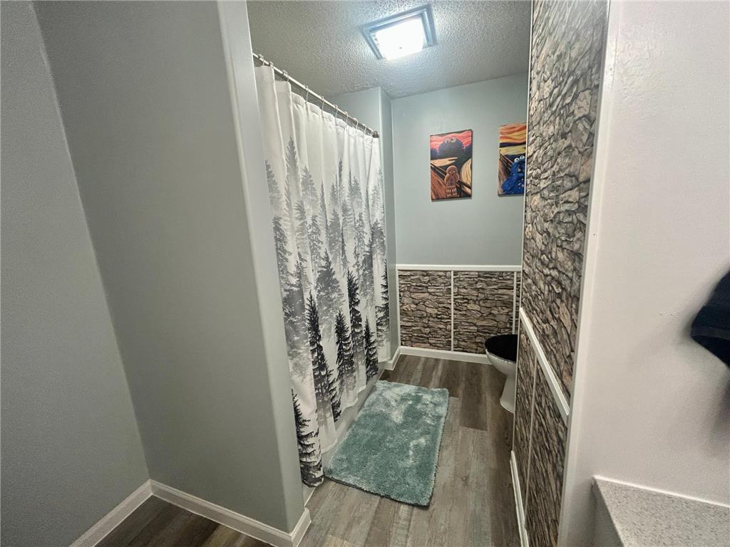 31548 County Highway 75 Compton Twp MN 56482 6769348 image24