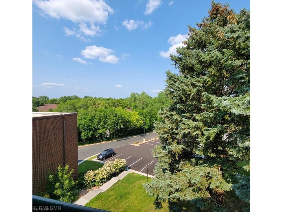 3155 Coachman Road 413, Eagan, MN, 55121 MLS 6100399 Edina Realty