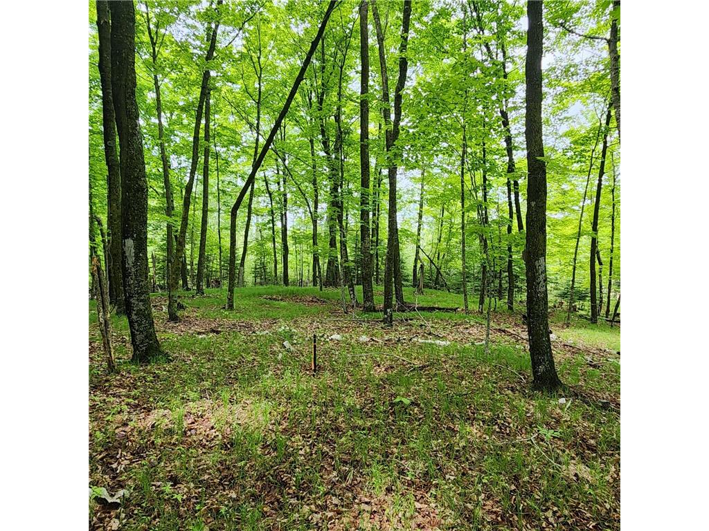 3157 4th Avenue NW Woodrow Twp MN 56655 - Blackwater 7055505 image5