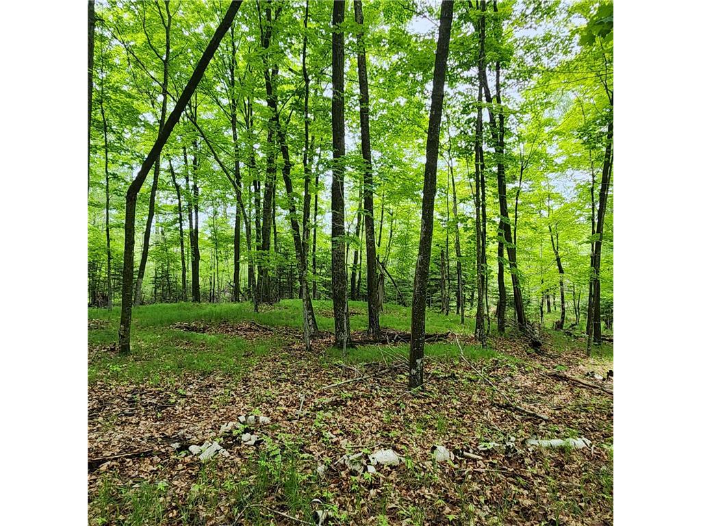 3157 4th Avenue NW Woodrow Twp MN 56655 - Blackwater 7055505 image6