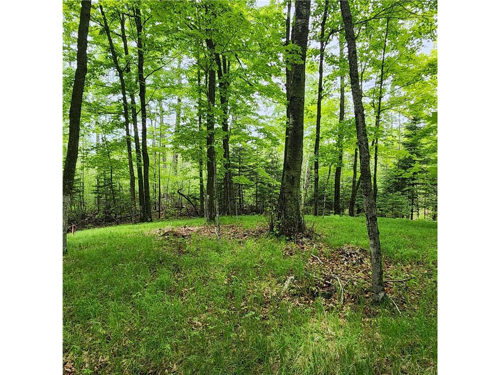 3157 4th Avenue NW Woodrow Twp MN 56655 - Blackwater 7055505 image7