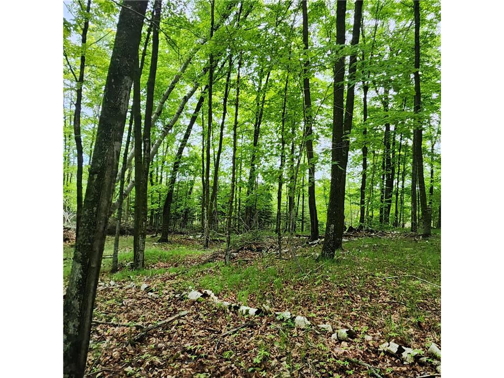 3157 4th Avenue NW Woodrow Twp MN 56655 - Blackwater 7055505 image8