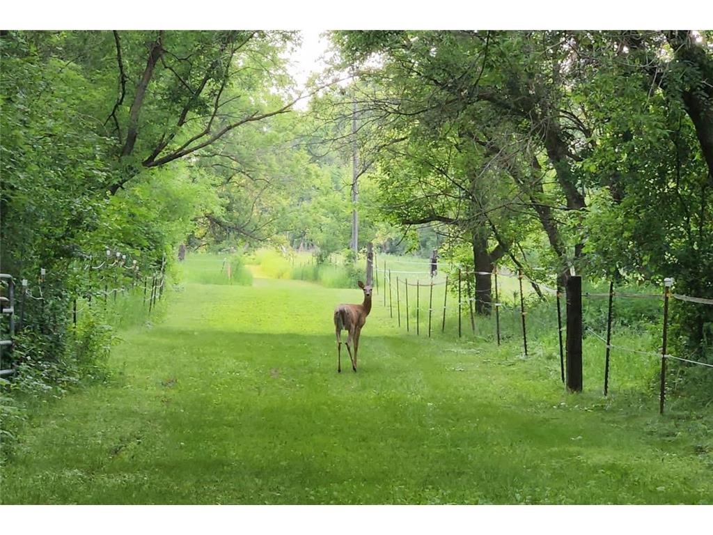 31572 collegeville Road Saint Joseph Twp MN 56374 7013034 image10