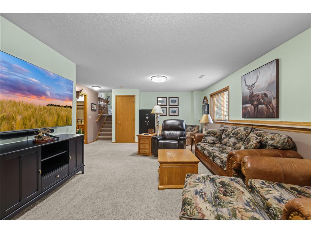 3159 146 Avenue NE Ham Lake MN 55304 7090451 image25