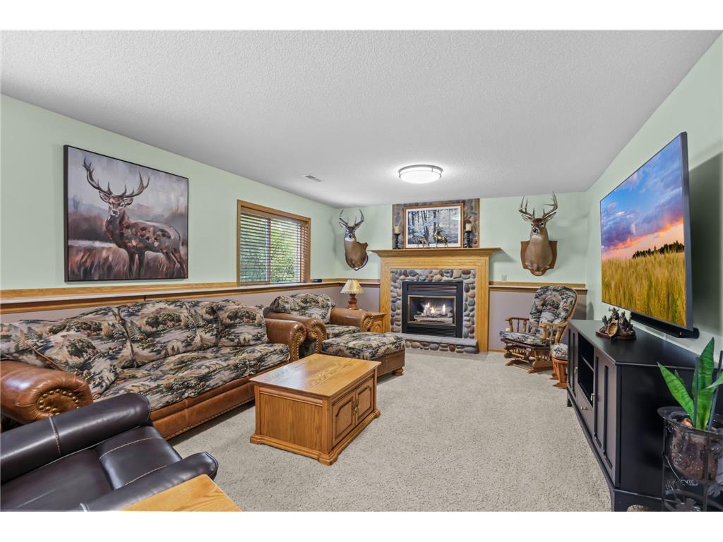 3159 146 Avenue NE Ham Lake MN 55304 7090451 image27