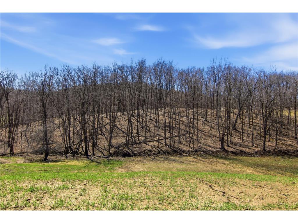 3159 200th Avenue Forest Twp WI 54013 7057286 image49