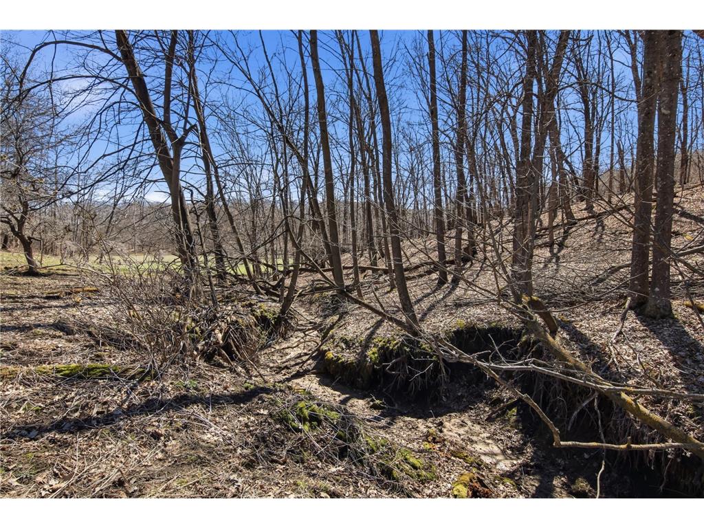 3159 200th Avenue Forest Twp WI 54013 7057286 image50