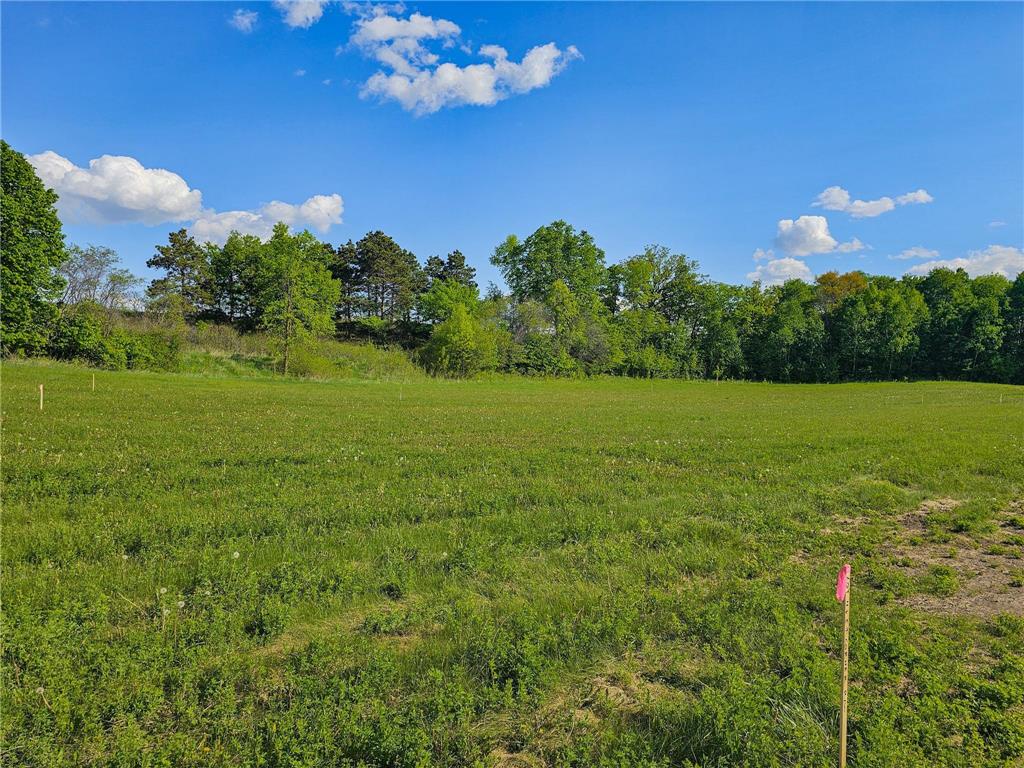 315XX 452nd St [B5] Vergas MN 56587 - East Loon 6700775 image8