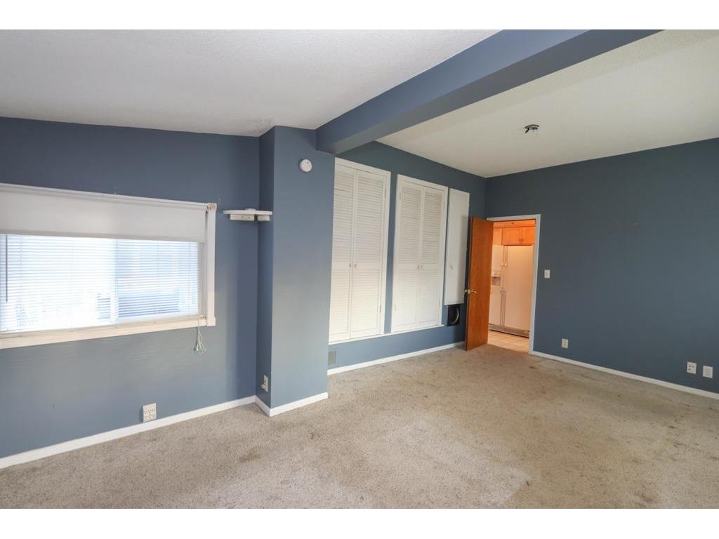 316 2nd Avenue SE Pine Island MN 55963 6820787 image13