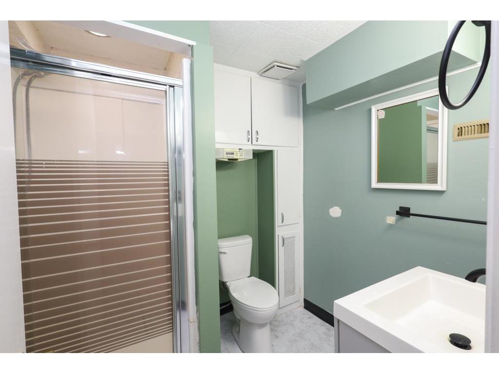 316 2nd Avenue SE Pine Island MN 55963 6820787 image22