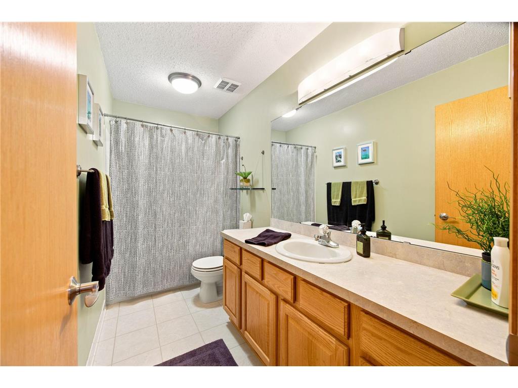 316 Arnica Drive Watertown MN 55388 7113654 image24