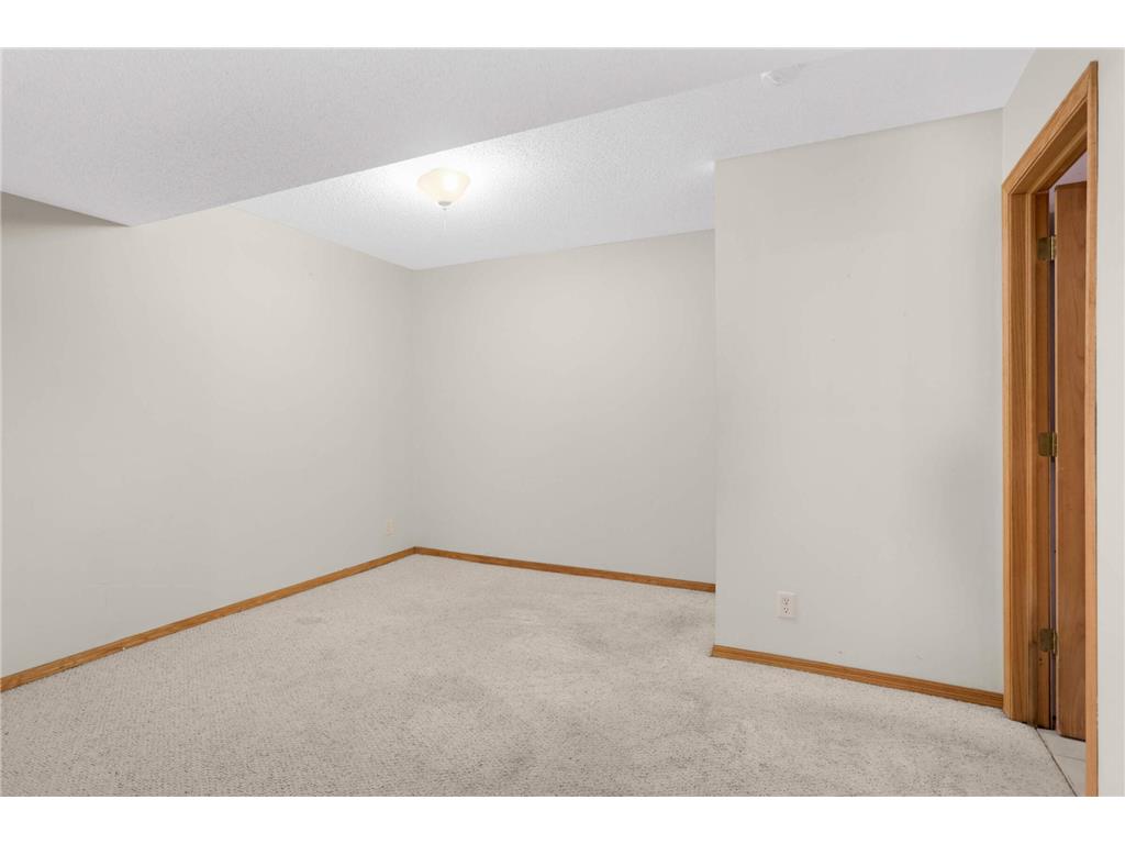 316 Creekside Drive Buffalo MN 55313 6815912 image28