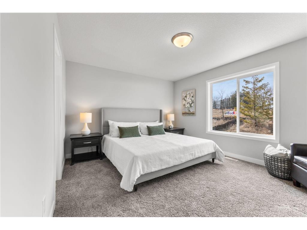 316 Distel Drive Le Sueur MN 56058 7058055 image17
