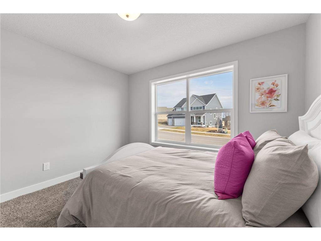 316 Distel Drive Le Sueur MN 56058 7058055 image26