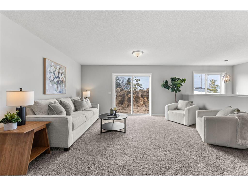 316 Distel Drive Le Sueur MN 56058 7058055 image4