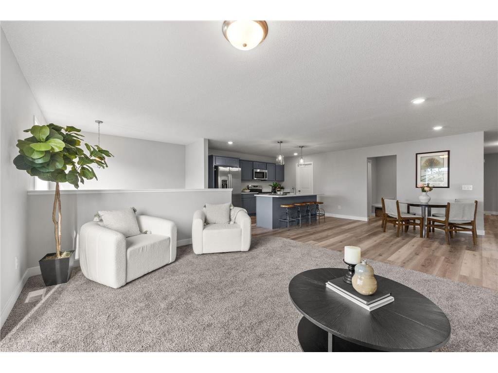 316 Distel Drive Le Sueur MN 56058 7058055 image6