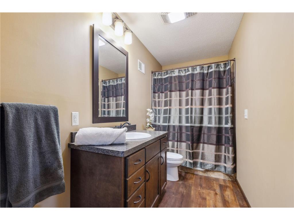 316 Lake Avenue N Silver Lake MN 55381 7009480 image18