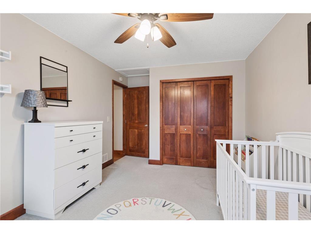 316 Lakeview Terrace Boulevard Waconia MN 55387 - Waconia 7021981 image24