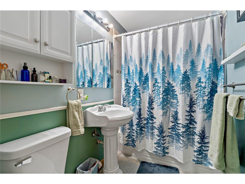 316 Layman Lane Bloomington MN 55420 7055192 image11
