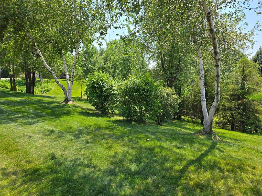 316 Wedgewood Circle Hudson WI 54016 7105058 image56