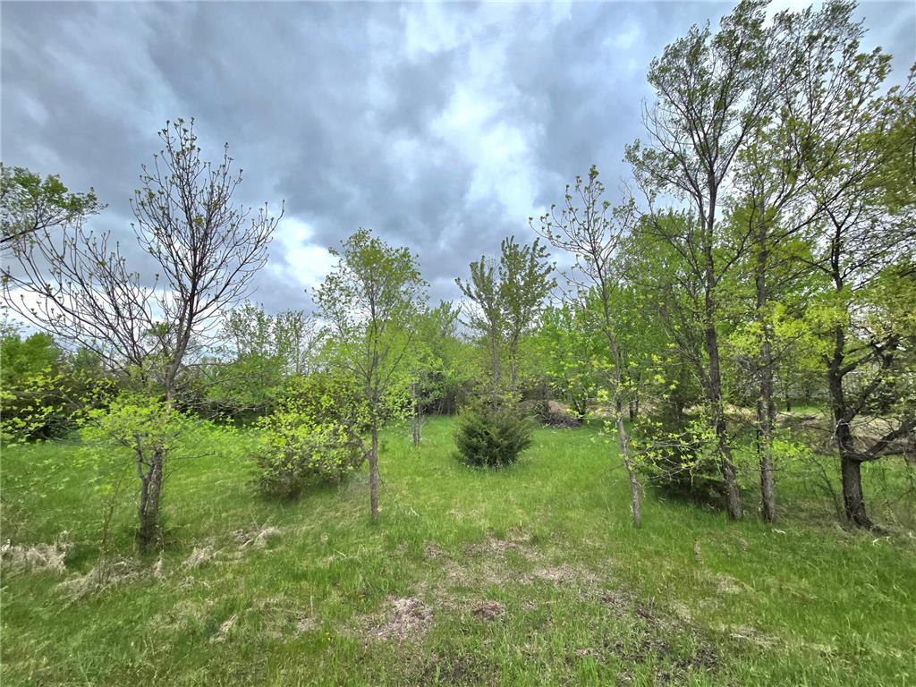 316 Woodsedge Road Clearwater MN 55320 7034371 image3