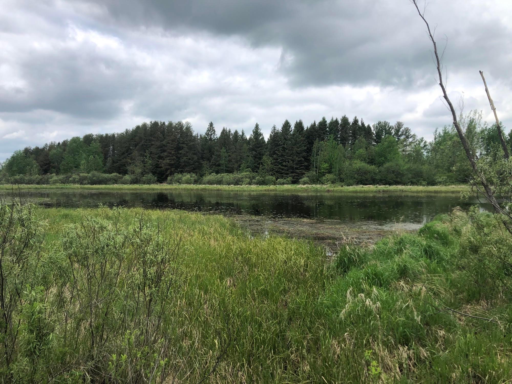 31603 Brook Park Road, Brook Park, MN 55007 MLS 5764740 Edina Realty