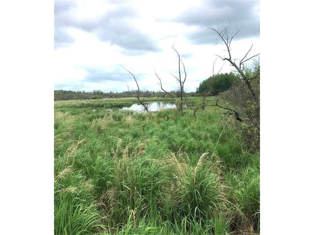 31603 Brook Park Road Brook Park Twp MN 55007 7007798 image19