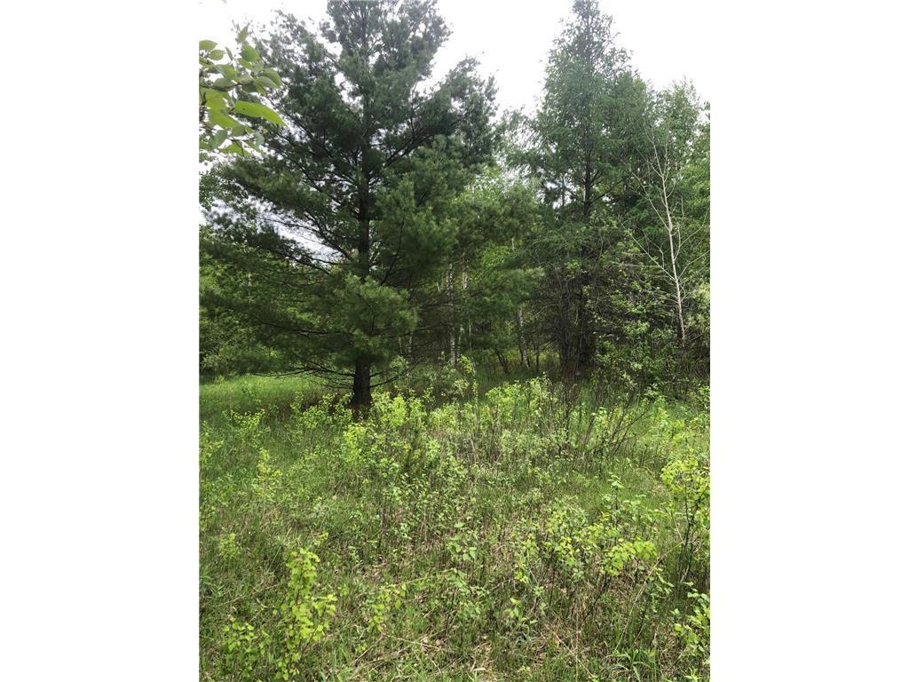 31603 Brook Park Road Brook Park Twp MN 55007 7007798 image20