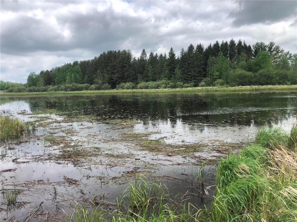 31603 Brook Park Road Brook Park Twp MN 55007 7007798 image21