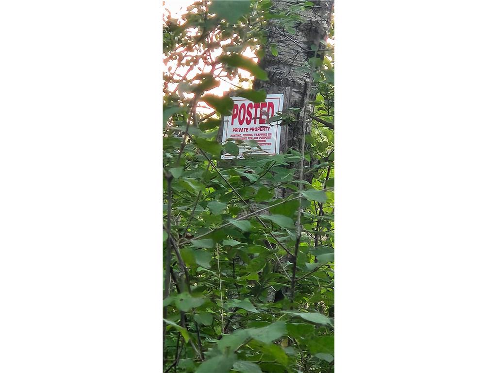 31603 Brook Park Road Brook Park Twp MN 55007 7007798 image22