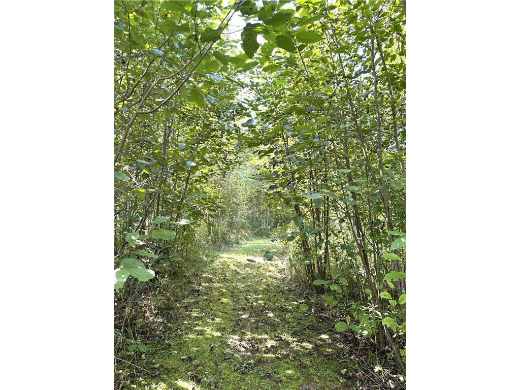 31603 Brook Park Road Brook Park Twp MN 55007 7007798 image27