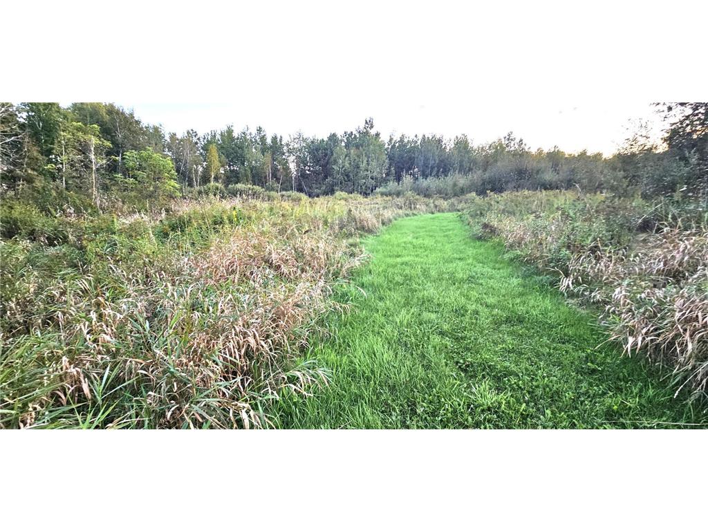 31603 Brook Park Road Brook Park Twp MN 55007 7007798 image29