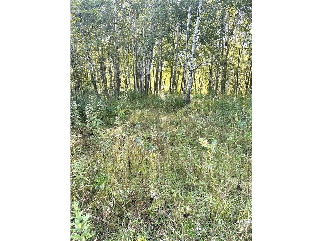 31603 Brook Park Road Brook Park Twp MN 55007 7007798 image30