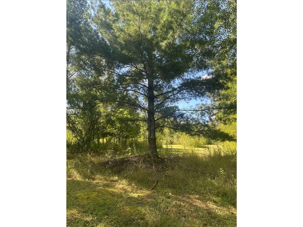 31603 Brook Park Road Brook Park Twp MN 55007 7007798 image34