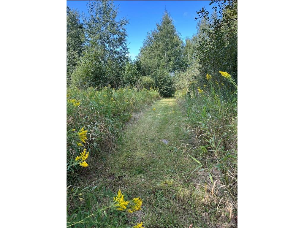 31603 Brook Park Road Brook Park Twp MN 55007 7007798 image36