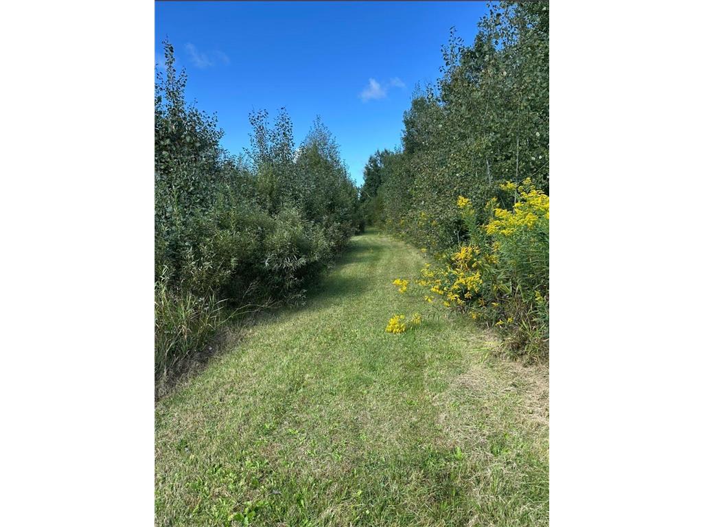 31603 Brook Park Road Brook Park Twp MN 55007 7007798 image37