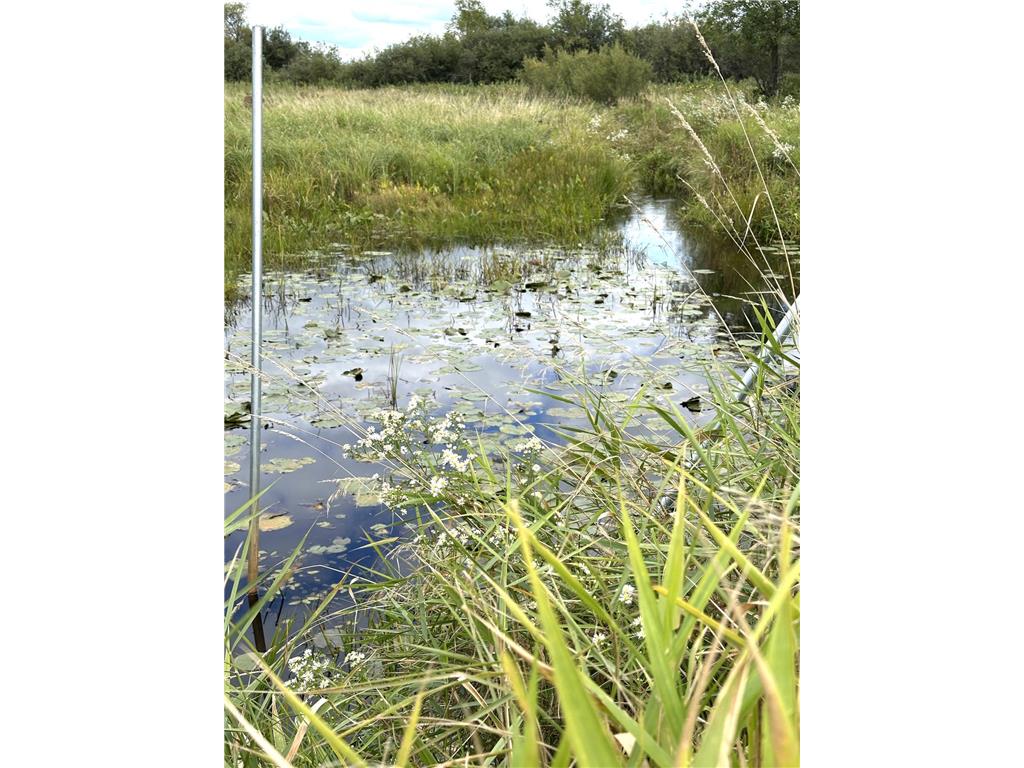 31603 Brook Park Road Brook Park Twp MN 55007 7007798 image4