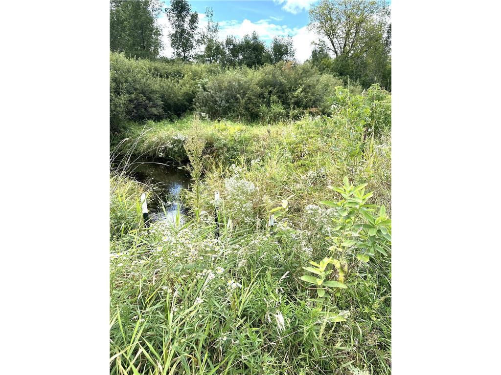 31603 Brook Park Road Brook Park Twp MN 55007 7007798 image5