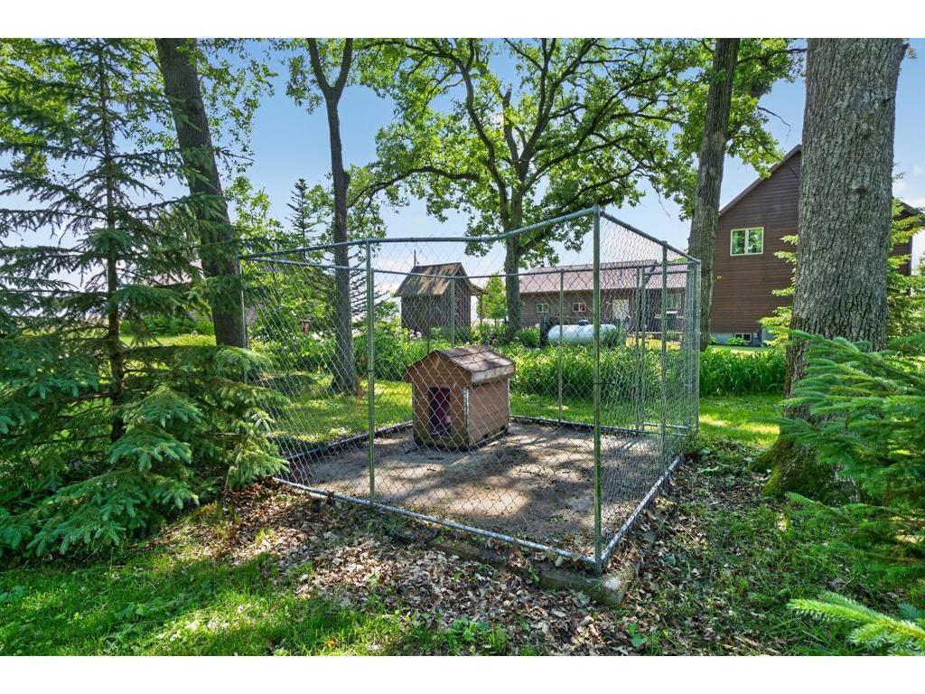 31631 Ma Dailey Road Utica MN 55979 7093776 image64