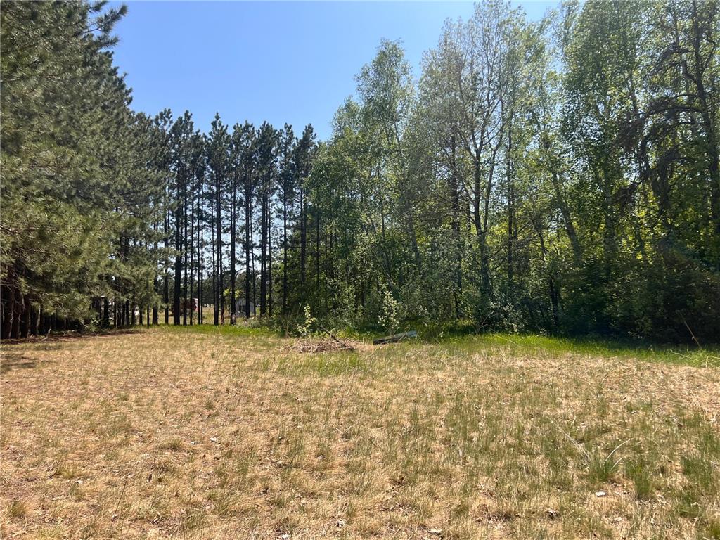31649 Walnut Drive Cass Lake MN 56633 6378007 image1