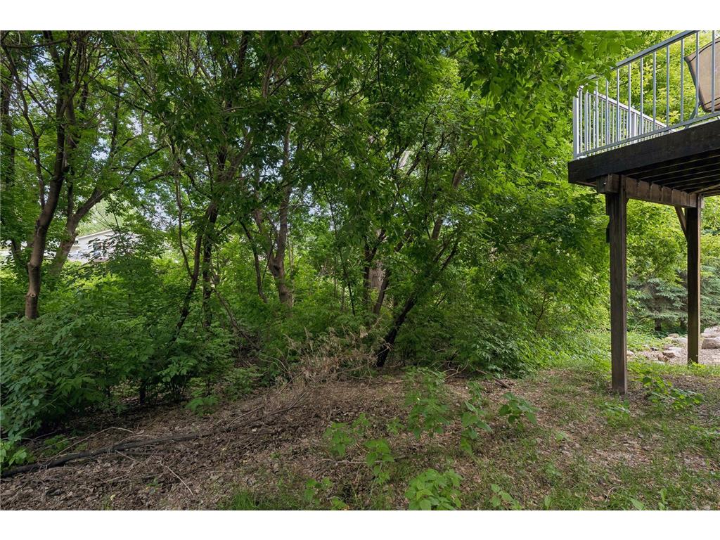 3165 Doneene Lane Eagan MN 55121 7082452 image28