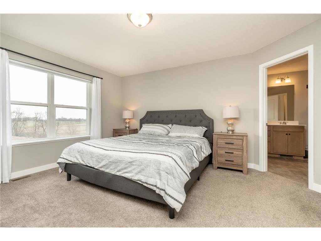 3165 Sunshine Curve NW Prior Lake MN 55352 7052060 image20