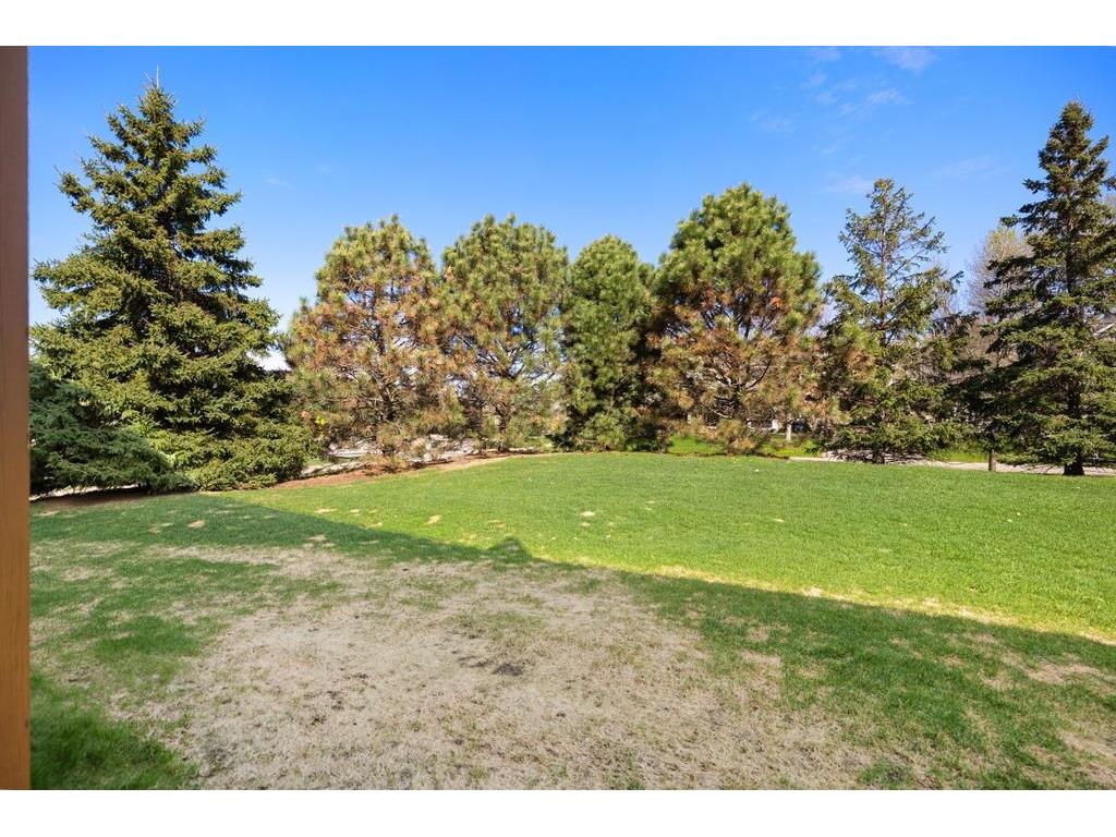 3166 Countryside Avenue #D Woodbury MN 55129 7055056 image39