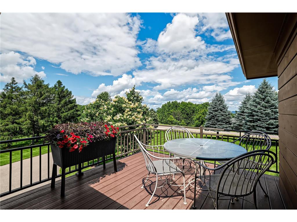 31665 County Road 1 Dresbach Twp MN 55947 7096230 image37